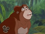 Image La l�gende de Tarzan