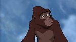 Image Tarzan