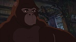 Image Tarzan