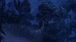 Image Tarzan