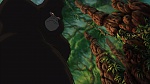 Image Tarzan
