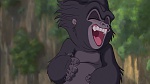 Image Tarzan