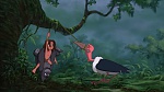 Image Tarzan
