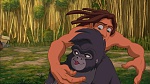 Image Tarzan