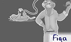 figa