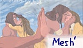 Mesh'