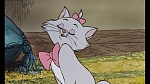 Image Les Aristochats
