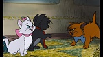 Image Les Aristochats