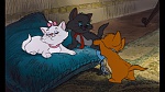 Image Les Aristochats