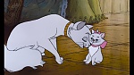 Image Les Aristochats