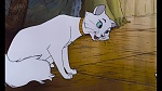 Image Les Aristochats