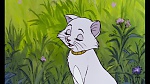 Image Les Aristochats