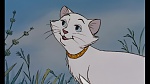 Image Les Aristochats