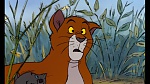 Image Les Aristochats