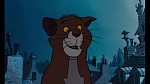 Image Les Aristochats
