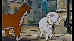 Image Les Aristochats