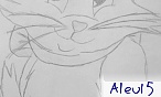 Aleu15