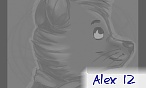 Alex 12