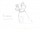 Duchesse