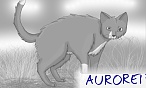AURORE13