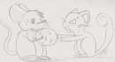 Projet Pokemon Guest - Roquefort contre Rattata !