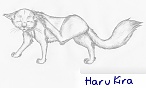 Haru Kira