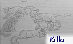 killa