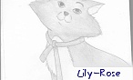 Lily-Rose
