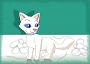 Kitten Duchess