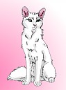 Duchess My style