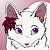 Sofiel ♥ Fursona ♥