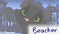 Beacher