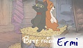 ermi