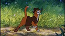 O'Malley, le Chat Bott� ! 