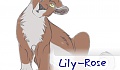 Lily-Rose