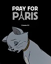 Pray for Paris