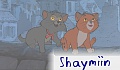 Shaymiin