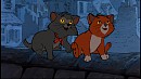 O'Malley et Scat cat