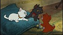 3 amis