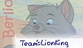 Team'
