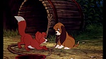 Fox and the Hound picture