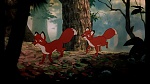 Image Fox and the Hound