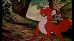 Fox and the Hound picture