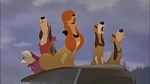 Image Fox and the Hound 2
