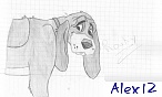 Alex 12