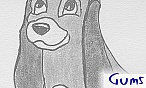 Gums