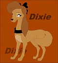 Dixie
