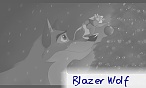 Blazer Wolf
