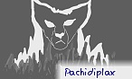 pachidiplax