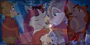 Projet surprise de saint valentin